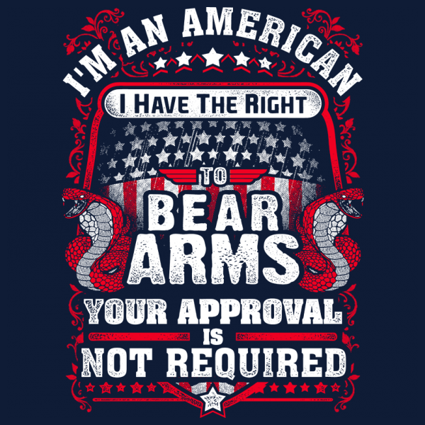 Right To Bear Arms